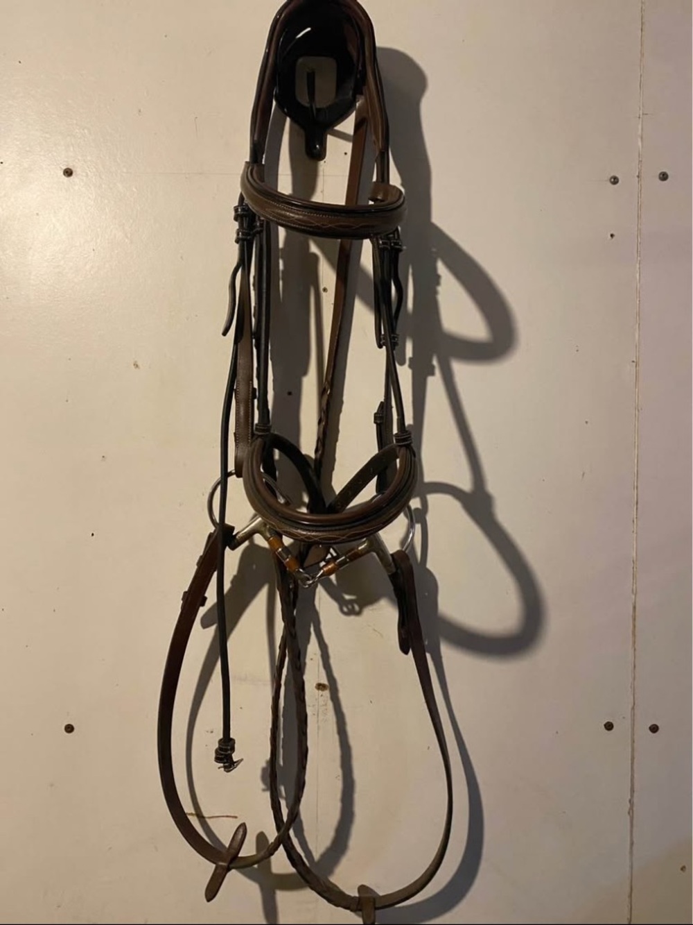 Leather Horse Bridle in Brown - HDR WB
